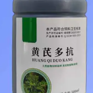 Astragalus Immune Booster for Livestock | Natural Herbal Animal Health Solution